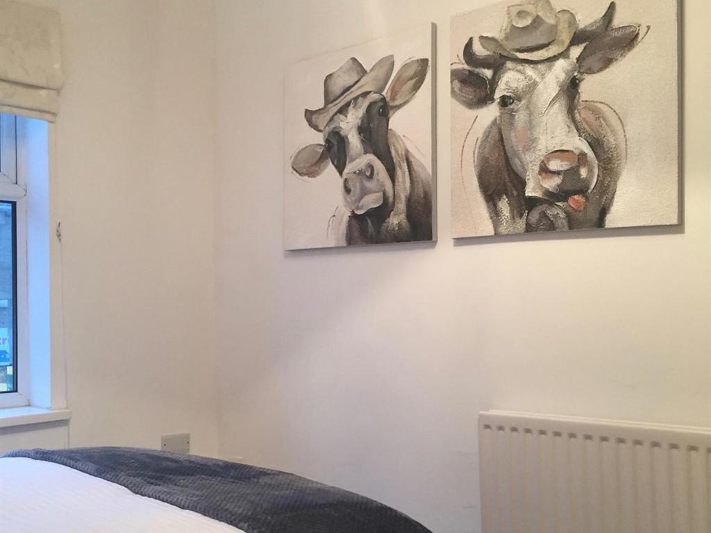 Durham Serviced Properties - The Sanctuary Zimmer foto